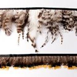 Feather Ribbon